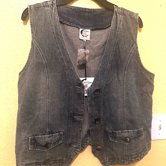 Jaded Gypsy chambray alluring dreams vest - Picture 5 of 6